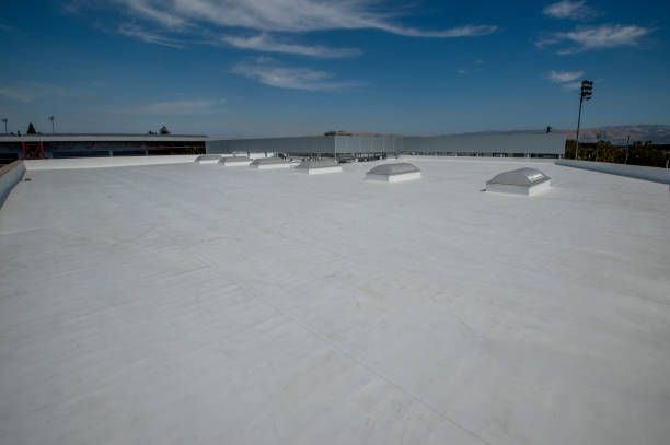 Best Roof Leak Repair  in Flora, AL