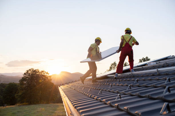 Best Roof Maintenance and Cleaning  in Flora, AL