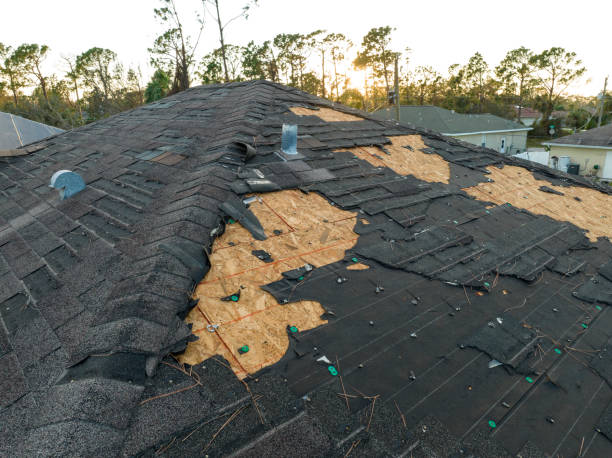 Best Roof Ventilation Installation  in Flora, AL
