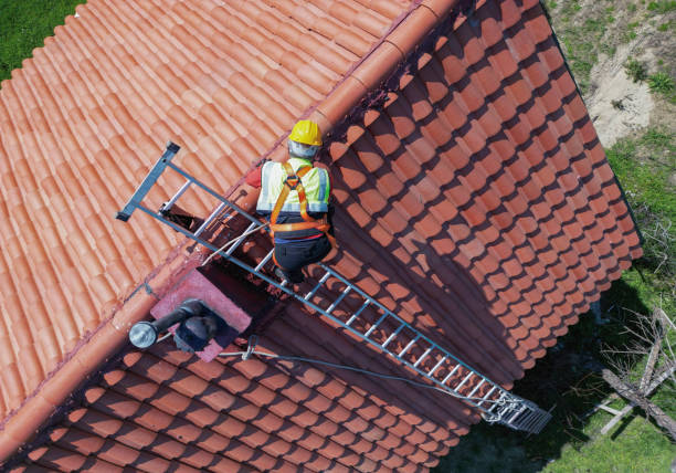 Best Roof Insulation Installation  in Flora, AL