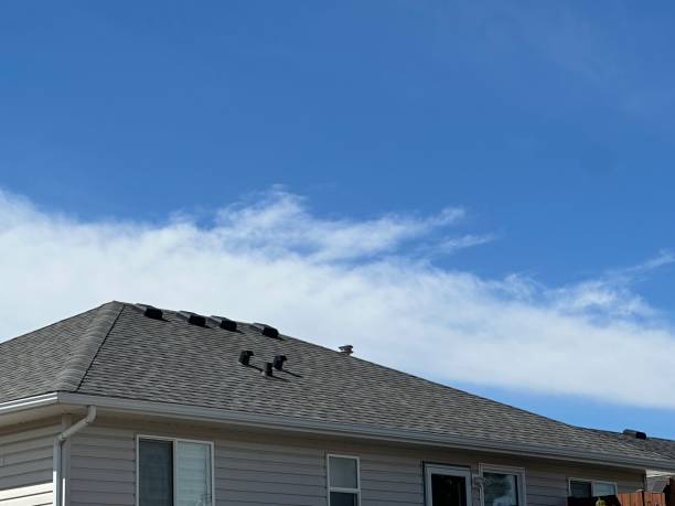 Professional Roofing Service in Florala, AL